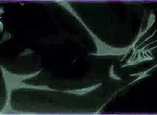 Uncensored hentai music video with hostile cartoon characters in anime style