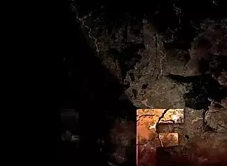 this vintage erotic animation is so cool