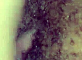 Plachá 18letá spolubydlící si poradí s mým obrovským ptákem