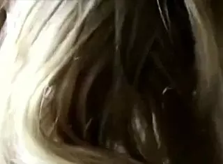 Caught on hidden camera: beautiful Australian babe sucking and fucking her boyfriend's cock?