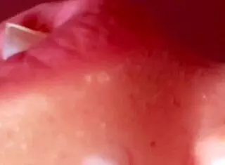 little slut sucks cock