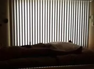 We were sneaking around the house, fucking my hot wife passionately.