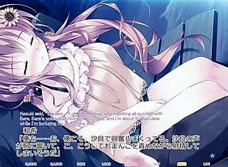 hime to otome no yakimochi love route2 scene2 with subtitle!