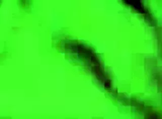 In Vintage Times, Erotic Drawings of Hentai Anime Cartoons Were Popular