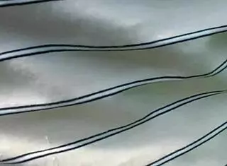 Sexy Milf Frina Undresses Young 18+ Guy Outdoors And Jerks Off Cock For Cumshot