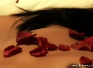 sexy belly dancer with brunette features teasing and dancing in indian asian style with erotic moves.