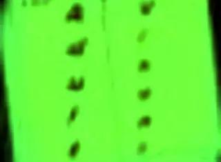 Scott Fucks Olivia's Big Tits!