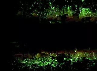 Vintage Erotic Illustration with Retro Anime Charm