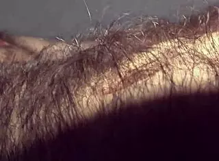 HAIRY GAY BEAR LOUIVMANE TOUR!