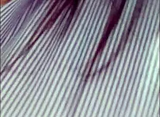 stepmother practices kamasutra with me at christmas