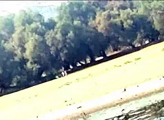 Latina girlfriend gives oral to friend at public lake, leading to orgasm.