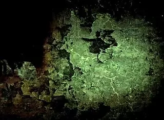 First gay teen 18+ sex movie with twink blowjob and drilling 😈