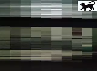 Neighbor in action during voyeur scene