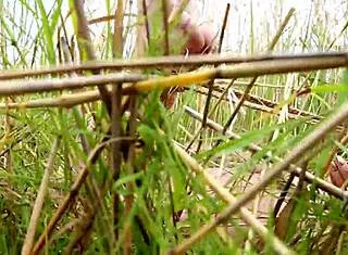 Tied Up Nude Anime Girl In Bondage