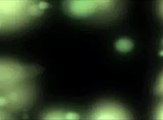 Grace explores the labyrinth town with toys and fingering, part 15