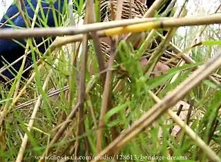 Tied Up Nude Anime Girl In Bondage