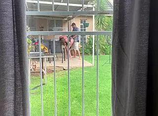 I saw my neighbors fucking in the backyard
