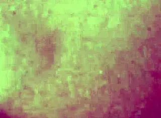 self-sucking big dick beauty, autofellatio at its finest 😍