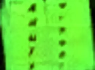 John, are you finally manning up with Jessy in the big city?