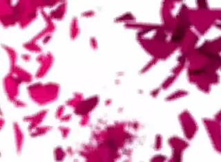 why are these barely-18 euro babes black angel inviting muscular guy for gay ass-licking threesome?