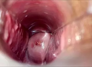 orgasmo vaginal in hentai anime with pussy