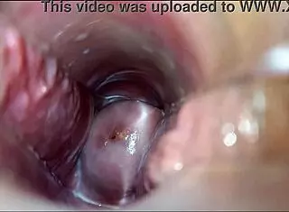 orgasmo vaginal in hentai anime with pussy