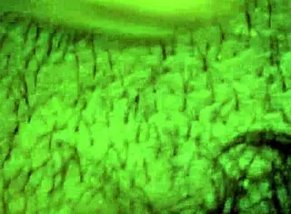 my friend's wife sucked my cock, gave handjob, showed pussy, and took cumshot