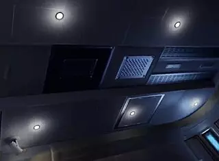 Ada Wong Infected With D-Virus Parody