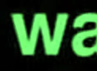 The Sims 4 office explodes with outdoor music and rough group fun