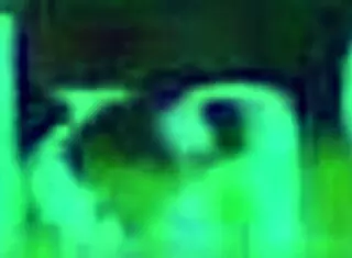 Bronya Zaychik And Griseo Engage In Intense Hardcore Sex In Honkai Impact 3rd Hentai With Big Tits And Creampie