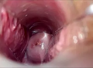 orgasmo vaginal in hentai anime with pussy