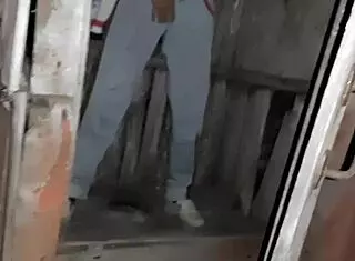 caught neighbor masturbating in street toilet, joined her for lesbian fun