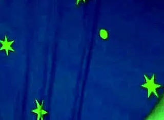 Exclusive Sheer Video: My Beautiful University Friend Invites Me Home For A Reunion.