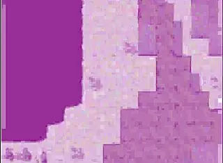 Hero battles villains in villainess quest part 1.