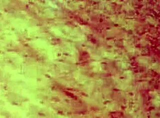 playing vr game with hentai anime vibes 😏