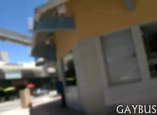 Bareback Homo Sex Unleashed