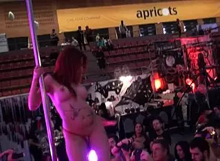 Salón Erótico De Barcelona 2015 Mifaceporno