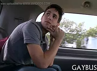 homosexual bear engages in intimate activities