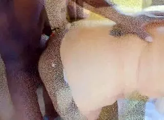 The MILF's Heart Races as She's Caught Cheating with a Monster Cock in the Hotel Room