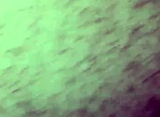 Watch These Naughty Bears in a Wild Bareback Orgy!