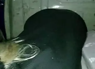 Sexy Young 18+ Girl Sucks Cock At Truck Back In City Center!