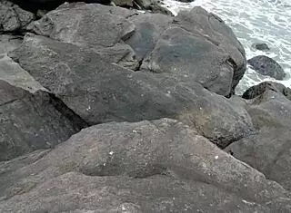 damn, we took that young carioca chick to the beach for a wild romp with the couple in the bushes… got caught! 🌴😱