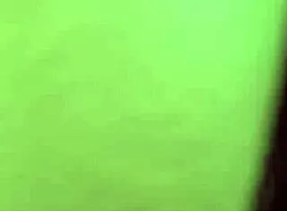 Alineflavio shares update 138