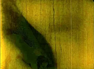 have you seen these vintage erotic drawings? they're so sexy and hot