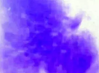 Vintage erotic drawings from comic antique retro hentai anime cartoon