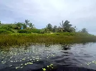 Nudist beach party with hot African teens recorded