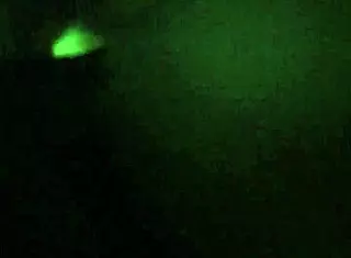 Sinn Sage Teases With Ice Cube On Wet Pussy Roughly