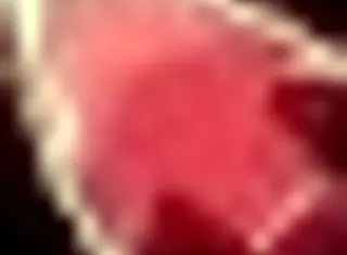 Awesome start in Honeysun with redhead flight attendant cosplay