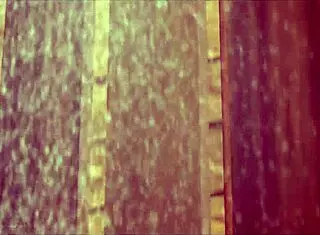 home alone full movie with solo scenes and wet moments