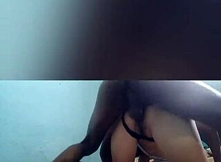 伙计，加州的邻居紧逼逼太火辣了，sussysexycaribe！